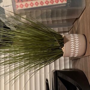 Decorative Plant in Patterned Pot